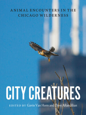 cover image of City Creatures